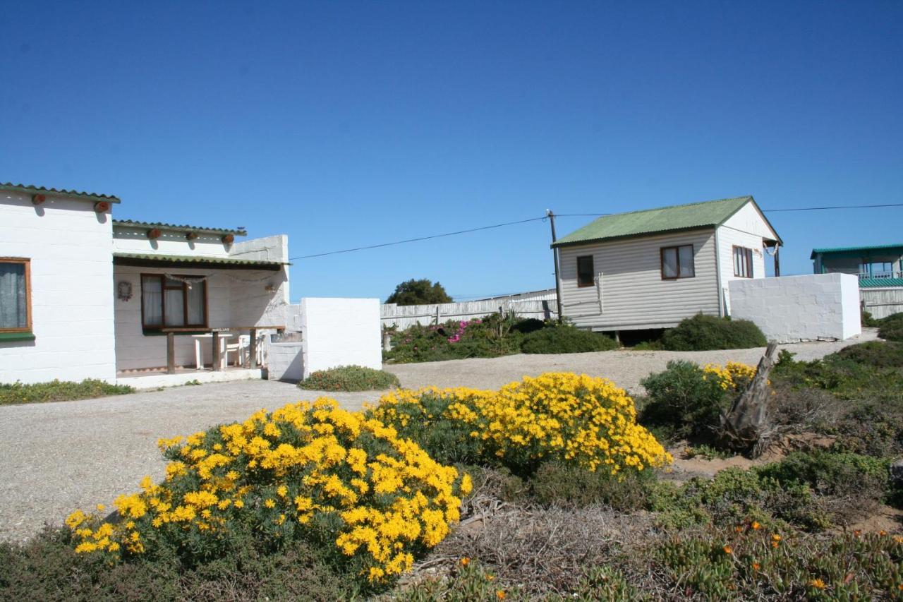 Honnehokke Resort Hondeklipbaai Buitenkant foto