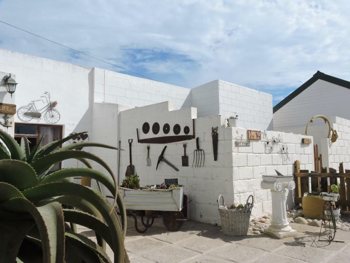 Honnehokke Resort Hondeklipbaai Buitenkant foto