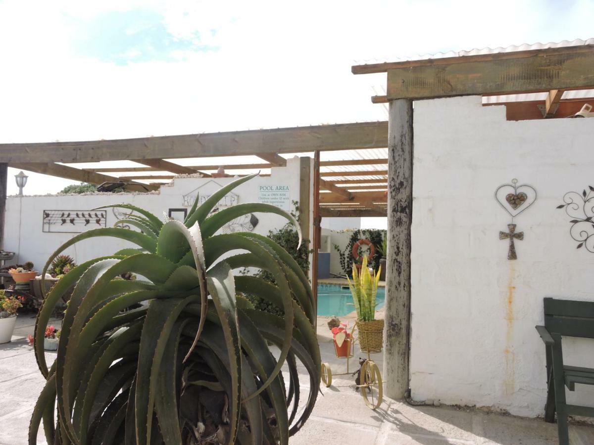 Honnehokke Resort Hondeklipbaai Buitenkant foto
