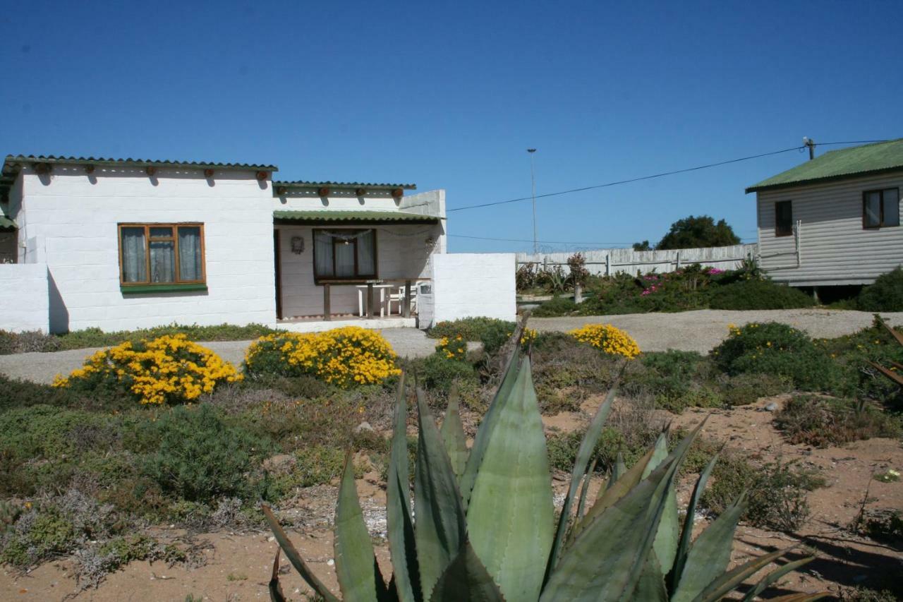 Honnehokke Resort Hondeklipbaai Buitenkant foto